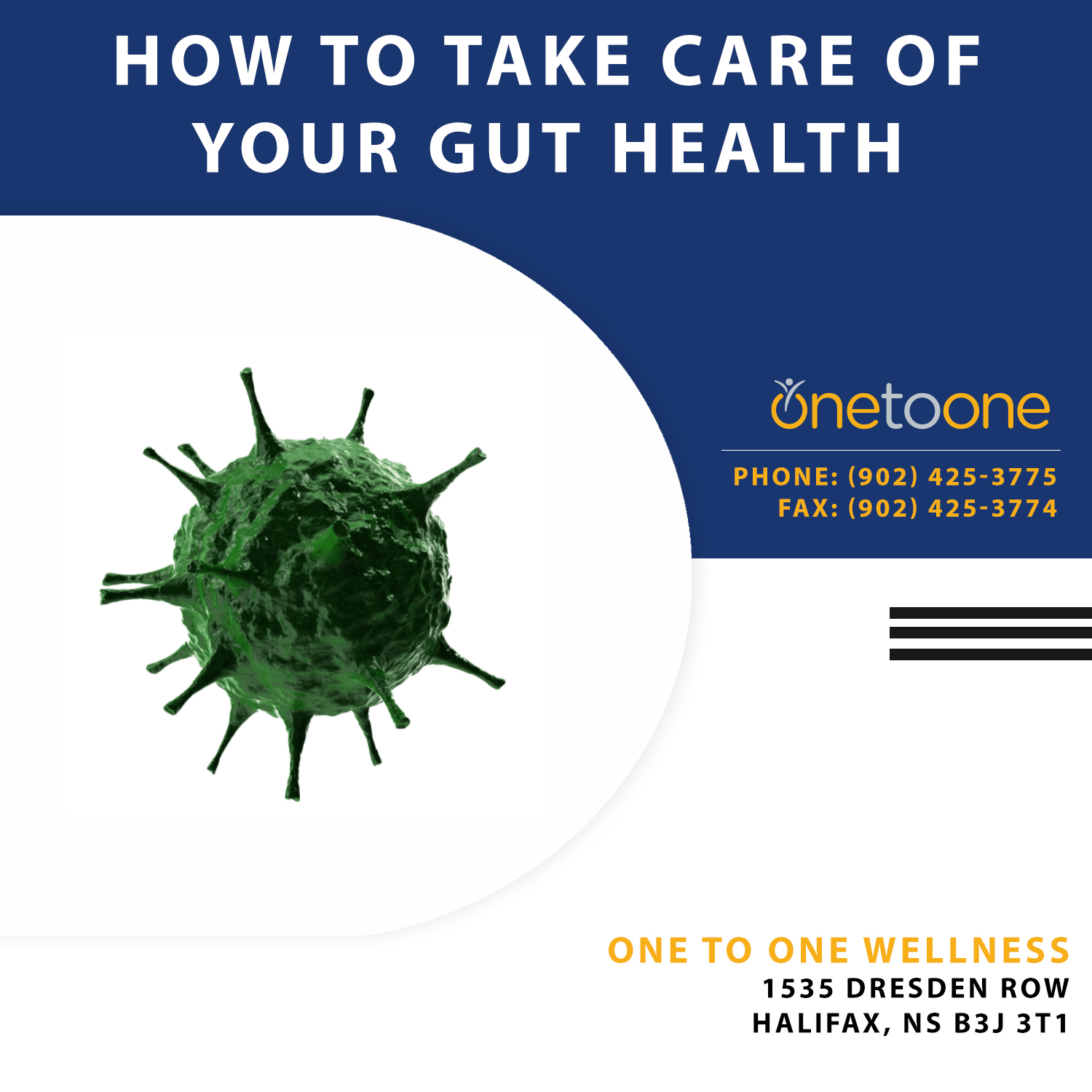 How to take care of your gut health One to One Wellness in Halifax, NS
